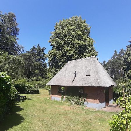 De Hooge Woeste Villa เอมสต์ ภายนอก รูปภาพ