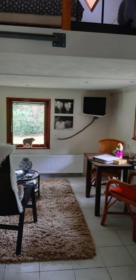 De Hooge Woeste Villa เอมสต์ ภายนอก รูปภาพ
