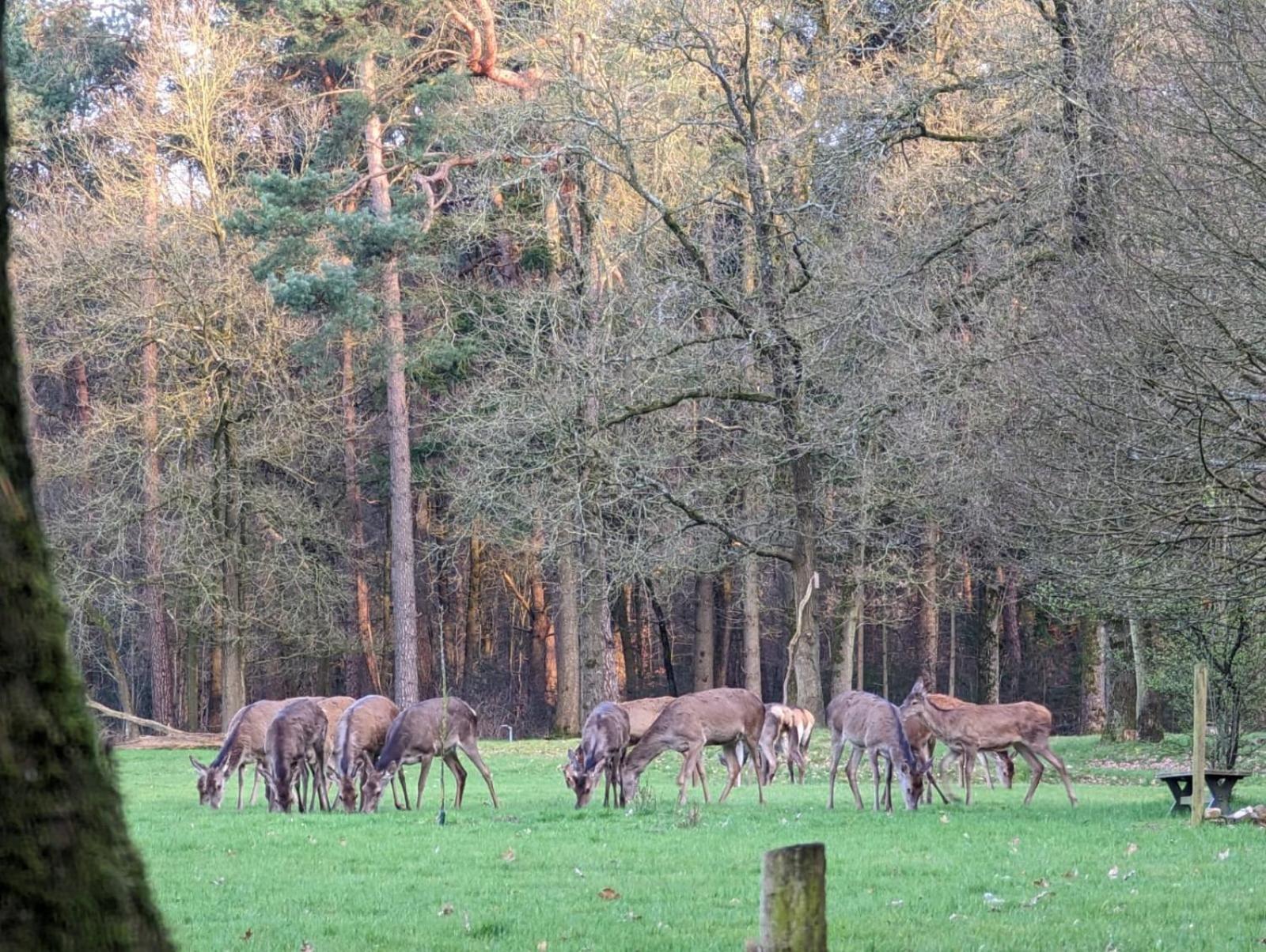 De Hooge Woeste Villa เอมสต์ ภายนอก รูปภาพ