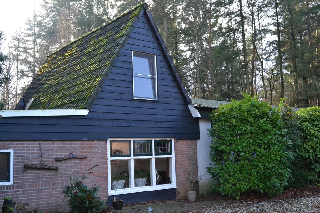 De Hooge Woeste Villa เอมสต์ ภายนอก รูปภาพ