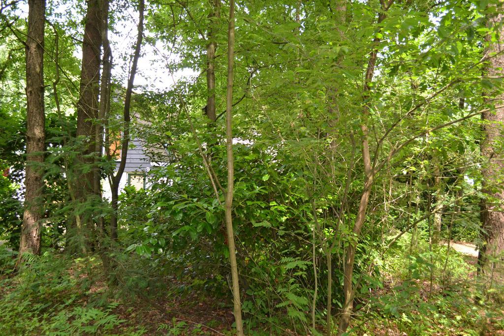 De Hooge Woeste Villa เอมสต์ ภายนอก รูปภาพ
