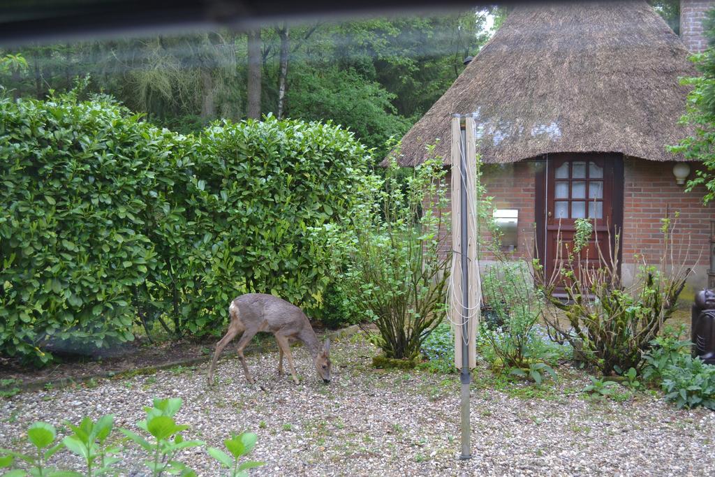 De Hooge Woeste Villa เอมสต์ ภายนอก รูปภาพ