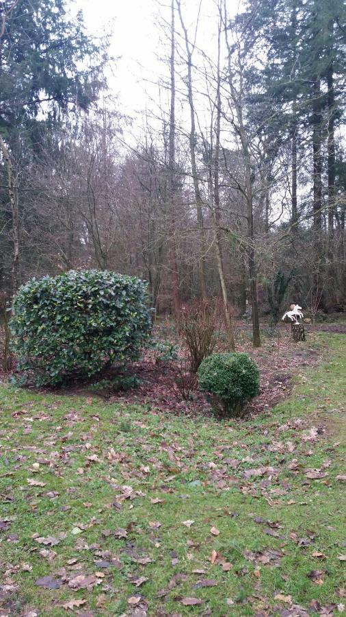 De Hooge Woeste Villa เอมสต์ ภายนอก รูปภาพ
